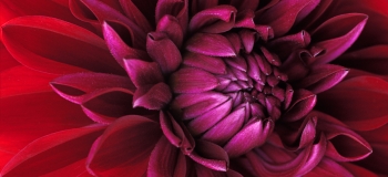 Seznamovací víkend