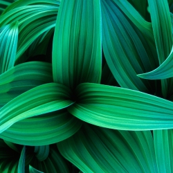 Večer deskových her